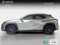 Usado Lexus UX Business Edition 183 CV (134 kW) 2022 Gris SUV