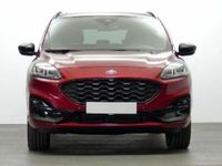 Usado Ford Kuga ST-Line X 225 CV (165 kW) 2023 SUV