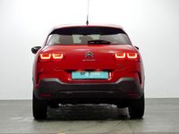 Usado Citroën C4 Cactus Feel 100 CV (73 kW) 2018 Rojo Utilitario