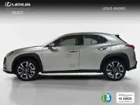 Usado Lexus UX 250h 184 CV (135 kW) 2021 Plateado SUV