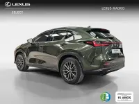 Usado Lexus NX350h Business Edition 242 CV (177 kW) 2022 Verde SUV