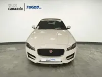 Usado Jaguar XF R-Sport 179 CV (131 kW) 2016 Blanco Berlina