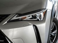 Usado Lexus UX 250h Business Edition 184 CV (135 kW) 2020 Plateado SUV