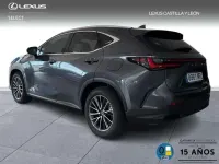 Usado Lexus NX450h+ 309 CV (227 kW) 2025 Gris SUV