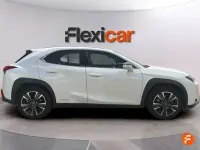 Usado Lexus UX 250h Business Edition 184 CV (135 kW) 2019 Blanco SUV