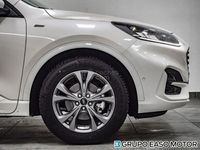 usado Ford Kuga 1.5 Ecoblue St-line Fwd 120