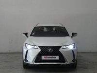 usado Lexus UX 250h