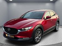 Usado Mazda CX-30 Sky 122 CV (89 kW) 2025 Otro SUV