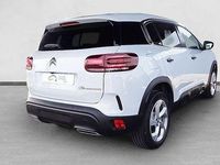 Usado Citroën C5 Aircross 145 CV (106 kW) 2025 Blanco SUV