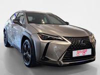 Usado Lexus UX 199 CV (146 kW) 2025 SUV