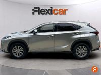 Usado Lexus NX300h Business Edition 197 CV (144 kW) 2017 Gris SUV