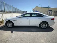 Usado Jaguar XF Pure 180 CV (132 kW) 2016 Blanco Berlina