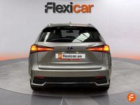 Usado Lexus NX300h Business Edition 197 CV (144 kW) 2018 Gris SUV