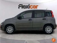 Usado Fiat Panda Sport 71 CV (52 kW) 2022 Gris Utilitario