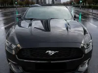 Usado Ford Mustang 305 CV (224 kW) 2015 Negro Descapotable