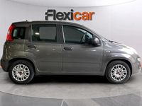 Usado Fiat Panda 71 CV (52 kW) 2022 Gris Berlina