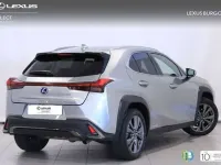 Usado Lexus UX 250h Sport Line 184 CV (135 kW) 2020 Gris SUV