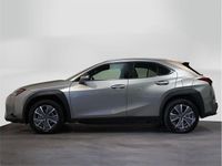 Usado Lexus UX 300e Business Edition 150 kW (204 CV) 2021 Otro SUV