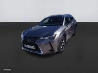 Usado Lexus UX Business Edition 184 CV (135 kW) 2022 Gris SUV