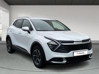 Usado Kia Sportage 150 CV (110 kW) 2024 Blanco SUV