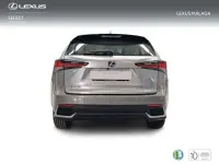 Usado Lexus NX300h Business Edition 197 CV (144 kW) 2021 Gris SUV