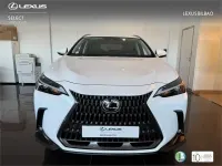 Usado Lexus NX450h+ 292 CV (214 kW) 2025 Blanco SUV