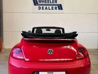 Usado VW Beetle Design 150 CV (110 kW) 2014 Rojo Utilitario