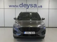 Usado Ford Kuga ST-Line X 225 CV (165 kW) 2023 Gris SUV