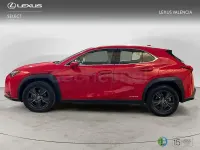 Usado Lexus UX Business Edition 184 CV (135 kW) 2022 Rojo SUV