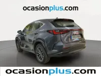 Usado Lexus NX350h Business Edition 242 CV (177 kW) 2023 Gris SUV