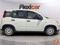 Usado Fiat Panda 70 CV (51 kW) 2023 Blanco Utilitario