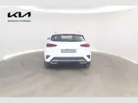 Usado Kia XCeed 101 CV (74 kW) 2025 Blanco SUV