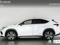 usado Lexus NX300h F Sport 4wd