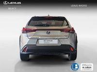 Usado Lexus UX 300e Business Edition 150 kW (204 CV) 2022 Gris SUV
