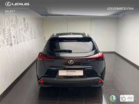 usado Lexus UX 250h Premium 2WD