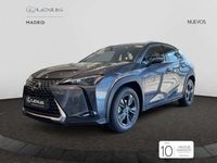 Nuevo Lexus UX 300h 199 CV (146 kW) 2025 Gris SUV
