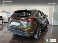 Usado Lexus NX450h+ 292 CV (214 kW) 2026 Verde SUV