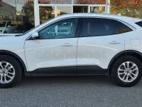 Usado Ford Kuga ST-Line 150 CV (110 kW) 2021 Blanco SUV