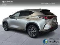 Usado Lexus NX450h+ 303 CV (222 kW) 2025 Gris SUV