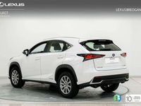 usado Lexus NX300 300h Business Navigation 2WD