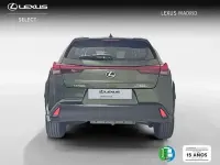 Usado Lexus UX Business Edition 184 CV (135 kW) 2022 Verde SUV