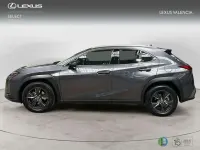 Usado Lexus UX 300h 199 CV (146 kW) 2025 Gris SUV