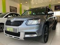 usado Skoda Yeti Outdoor 1.4 TSI Ambition DSG 4x2 92kW