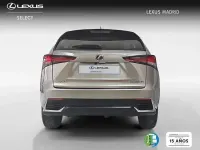 Usado Lexus NX300h Business Edition 197 CV (144 kW) 2018 Gris SUV