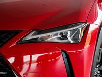 Usado Lexus UX 250h Business Edition 184 CV (135 kW) 2020 Rojo SUV