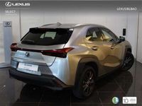 usado Lexus UX 250h Business City 2WD