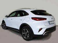 Brugt Kia XCeed 141 HK (103 kW) 2023 Hvid SUV