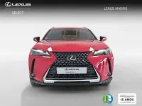 Usado Lexus UX 250h 184 CV (135 kW) 2024 Rojo SUV