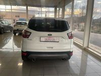 Usado Ford Kuga Trend 150 CV (110 kW) 2019 Blanco SUV