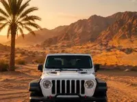 Usado Jeep Wrangler Rubicon 270 CV (198 kW) 2021 Blanco SUV